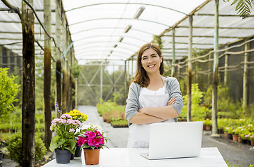 Image showing Woman working in a flower shop