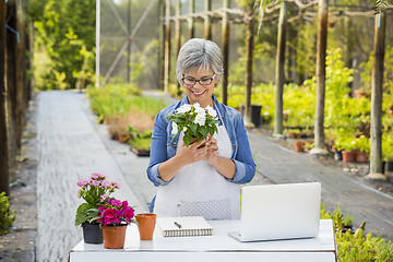 Image showing Working in a flower shop