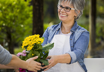 Image showing Working in a flower shop