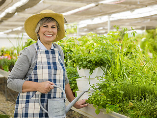 Image showing Mature woman watering flowers