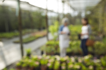 Image showing A day in a greenhouse