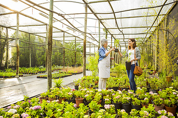 Image showing Worker and customer in a green house