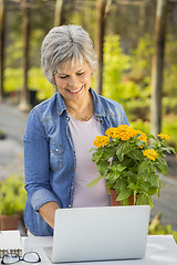 Image showing Working in a flower shop