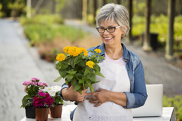 Image showing Working in a flower shop