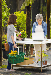 Image showing Worker and customer in a green house