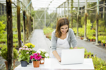 Image showing Woman working in a flower shop