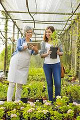 Image showing Worker and customer in a green house