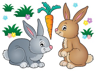 Image showing Rabbit topic image 1