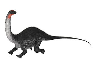 Image showing Dinosaur Apatosaurus on White