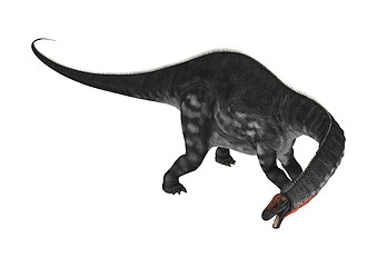 Image showing Dinosaur Apatosaurus on White