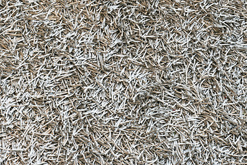 Image showing Silver carpet