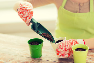 Image showing close up of woman hands with trowel sowing seeds