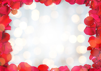 Image showing close up of red rose petals blank frame