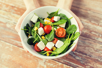 Image showing close up of young woman hands showing salad bowl