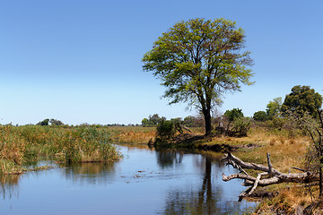 Image showing African landscape with river