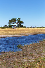 Image showing African landscape with river