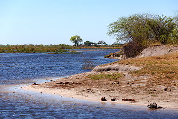 Image showing African landscape with river