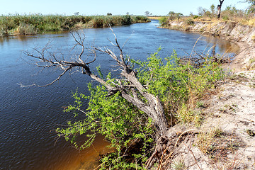 Image showing African landscape with river