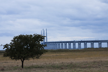 Image showing bridge