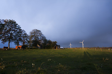 Image showing meadows