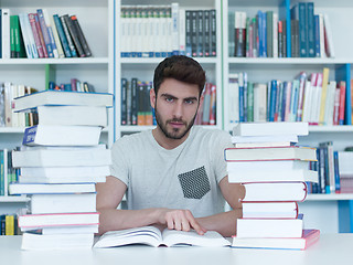 Image showing student in school library