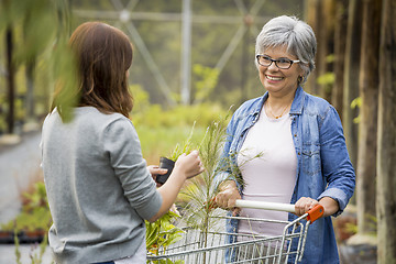 Image showing Worker and customer in a green house