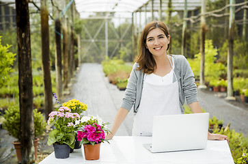 Image showing Woman working in a flower shop