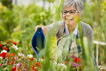 Image showing Mature woman watering flowers