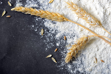 Image showing whole flour and wheat ears