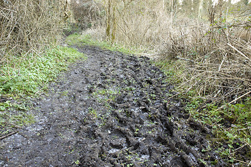 Image showing Muddy footpath