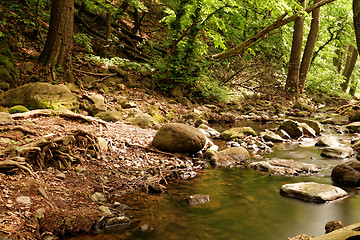 Image showing Brooks in the forest