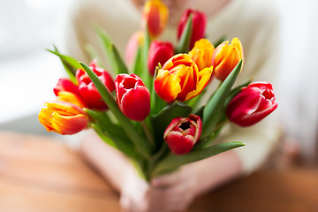 Image showing close up of woman holding tulip flowers