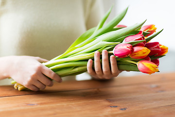 Image showing close up of woman holding tulip flowers