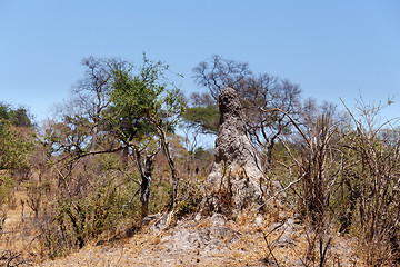 Image showing African landscape