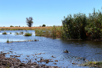 Image showing African landscape with river