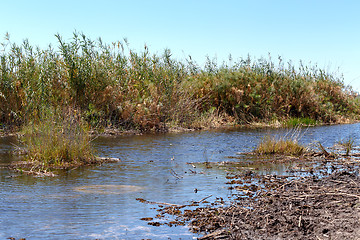 Image showing African landscape with river