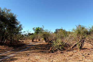 Image showing African landscape