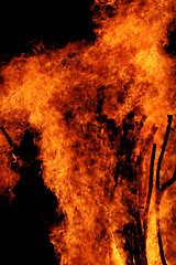 Image showing Campfire flames