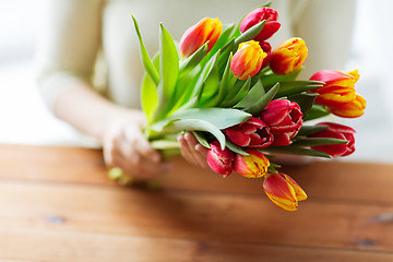 Image showing close up of woman holding tulip flowers