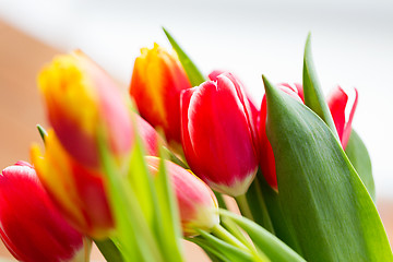 Image showing close up of tulip flowers