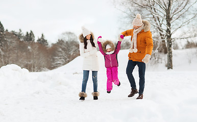 Image showing happy family in winter clothes walking outdoors