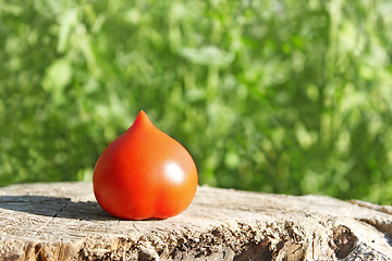 Image showing Tomato on surface of old stump