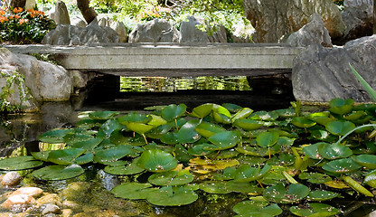 Image showing Foot Bridge