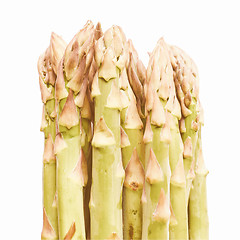 Image showing Retro looking Asparagus vegetable isolated