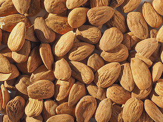 Image showing Almonds dried fruit