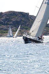 Image showing one sail competition on swedish westcoast 