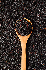 Image showing Uncooked, organic Black Rice