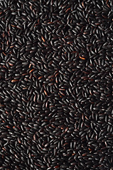 Image showing Uncooked, organic Black Rice