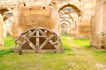 Image showing old moroccan granary  the green cat  wall