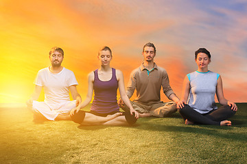 Image showing The group of people doing yoga exercises 